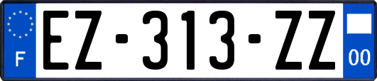 EZ-313-ZZ