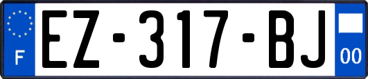 EZ-317-BJ