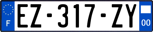 EZ-317-ZY