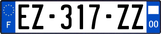 EZ-317-ZZ