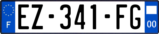 EZ-341-FG