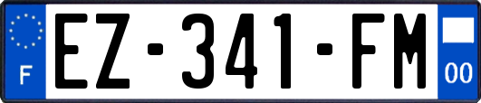 EZ-341-FM