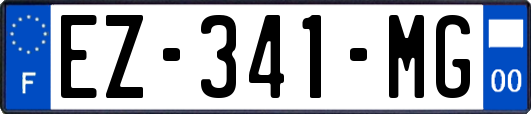 EZ-341-MG