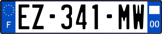 EZ-341-MW