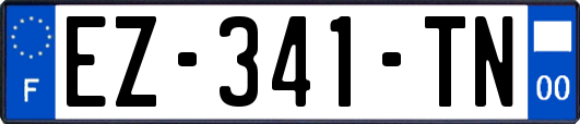 EZ-341-TN
