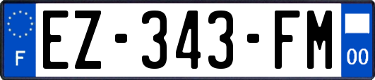 EZ-343-FM