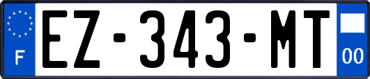 EZ-343-MT