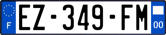 EZ-349-FM