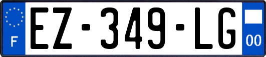 EZ-349-LG