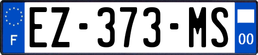 EZ-373-MS