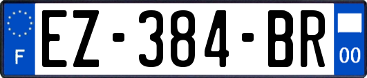 EZ-384-BR