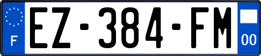 EZ-384-FM