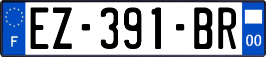 EZ-391-BR