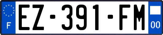 EZ-391-FM