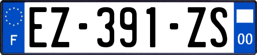 EZ-391-ZS
