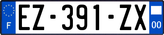 EZ-391-ZX