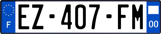 EZ-407-FM