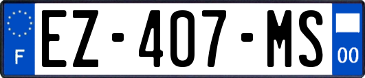 EZ-407-MS