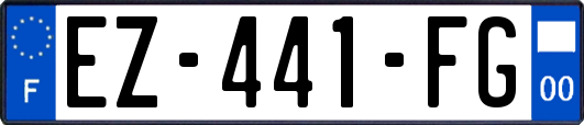 EZ-441-FG