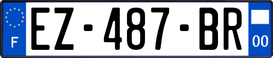 EZ-487-BR