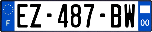 EZ-487-BW