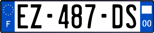 EZ-487-DS