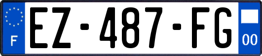 EZ-487-FG