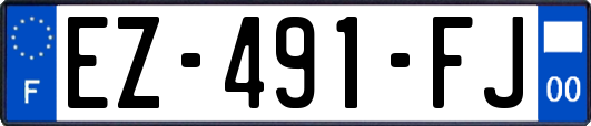 EZ-491-FJ