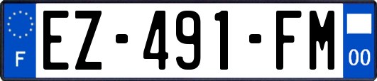 EZ-491-FM