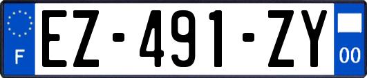 EZ-491-ZY