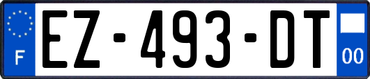 EZ-493-DT