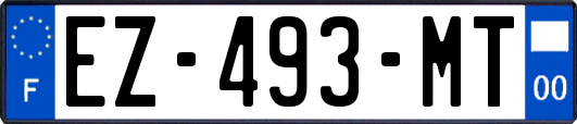 EZ-493-MT