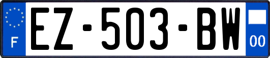 EZ-503-BW