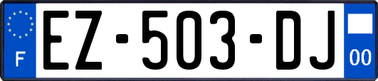 EZ-503-DJ