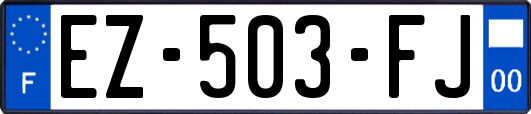 EZ-503-FJ