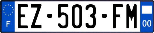 EZ-503-FM