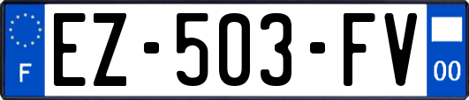 EZ-503-FV