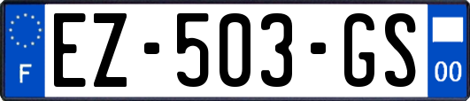 EZ-503-GS