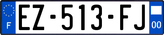 EZ-513-FJ