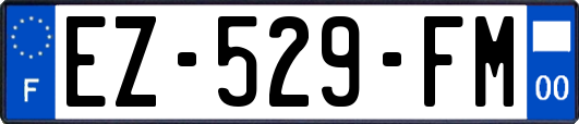 EZ-529-FM