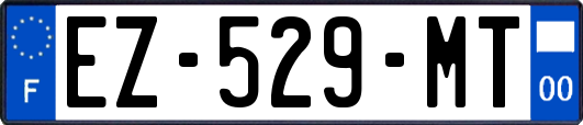 EZ-529-MT