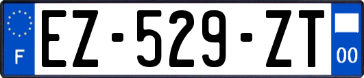 EZ-529-ZT