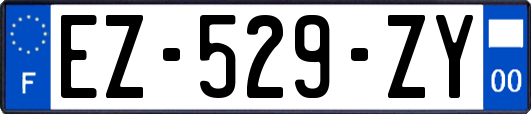 EZ-529-ZY