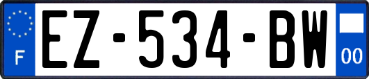 EZ-534-BW