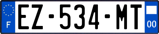 EZ-534-MT