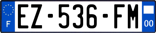 EZ-536-FM