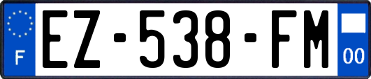 EZ-538-FM