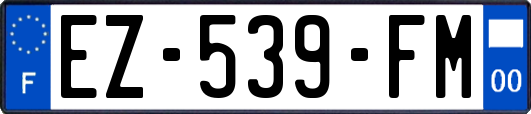 EZ-539-FM