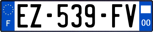 EZ-539-FV