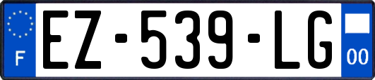 EZ-539-LG